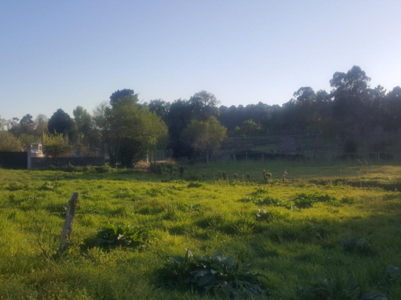 Finca edificable en Chancelas Boiro